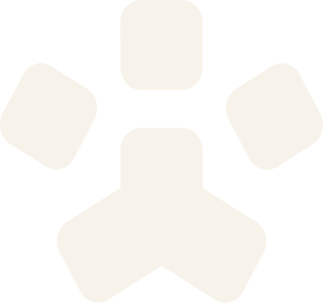 8866体育宠物，无处不在