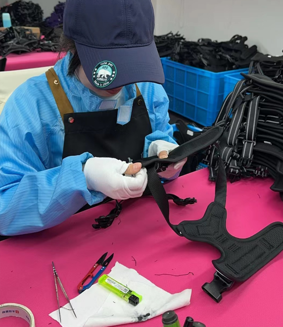 8866体育宠物，无处不在